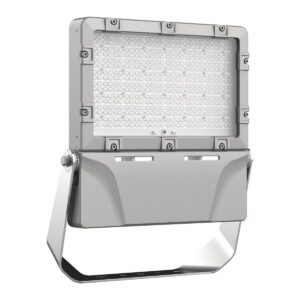 HA04 Sparkle LED Flood Light